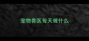 宠物兽医每天做什么
