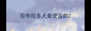 拉布拉多犬最便宜的