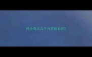 哈士奇从几个月开始长的