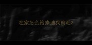 在家怎么给泰迪狗剪毛