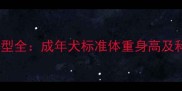 拉布拉多犬体型全成年犬标准体重身高及科学饲养指南
