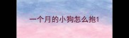 一个月的小狗怎么抱