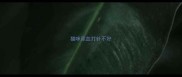 猫咪尿血打针不好