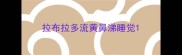 拉布拉多流黄鼻涕睡觉