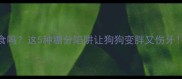 边牧能吃甜食吗这5种糖分陷阱让狗狗变胖又伤牙附健康食谱
