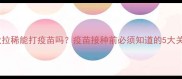幼犬拉稀能打疫苗吗疫苗接种前必须知道的5大关键点