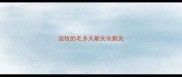 边牧的毛多久能长长剃光