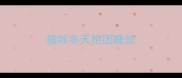 猫咪冬天抱团睡觉
