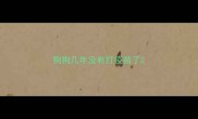 狗狗几年没有打疫苗了