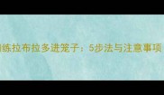 如何正确训练拉布拉多进笼子5步法与注意事项附案例