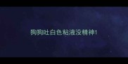狗狗吐白色粘液没精神