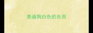 泰迪狗白色的东西