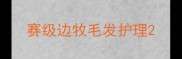 赛级边牧毛发护理