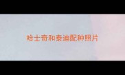 哈士奇和泰迪配种照片