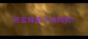 被蜜蜂蛰了的狗狗
