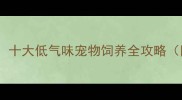养宠物必看无味宠物推荐十大低气味宠物饲养全攻略附品种对比与清洁技巧