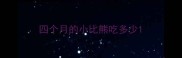 四个月的小比熊吃多少