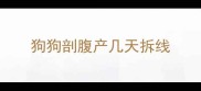 狗狗剖腹产几天拆线