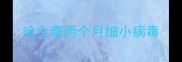 哈士奇两个月细小病毒