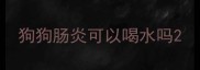 狗狗肠炎可以喝水吗