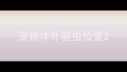 宠物体外驱虫位置