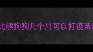比熊狗狗几个月可以打疫苗