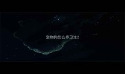 宠物狗怎么养卫生
