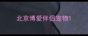 北京博爱伴侣宠物