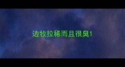 边牧拉稀而且很臭