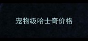 宠物级哈士奇价格