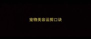 宠物美容运剪口诀