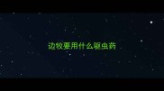 边牧要用什么驱虫药