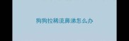 狗狗拉稀流鼻涕怎么办