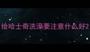 给哈士奇洗澡要注意什么好