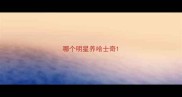 哪个明星养哈士奇
