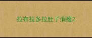 拉布拉多拉肚子消瘦