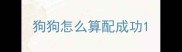 狗狗怎么算配成功