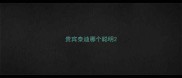 贵宾泰迪哪个聪明
