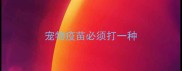 宠物疫苗必须打一种