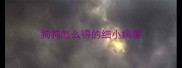 狗狗怎么得的细小病毒