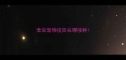 淮安宠物疫苗在哪接种