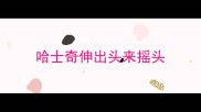 哈士奇伸出头来摇头
