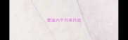 泰迪六个月来月经