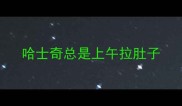 哈士奇总是上午拉肚子