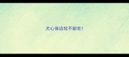 犬心保边牧不能吃