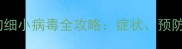 新手必看狗狗细小病毒全攻略症状预防紧急处理指南