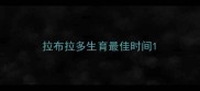 拉布拉多生育最佳时间