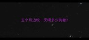 五个月边牧一天喂多少狗粮