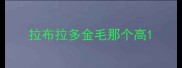 拉布拉多金毛那个高
