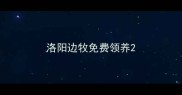 洛阳边牧免费领养